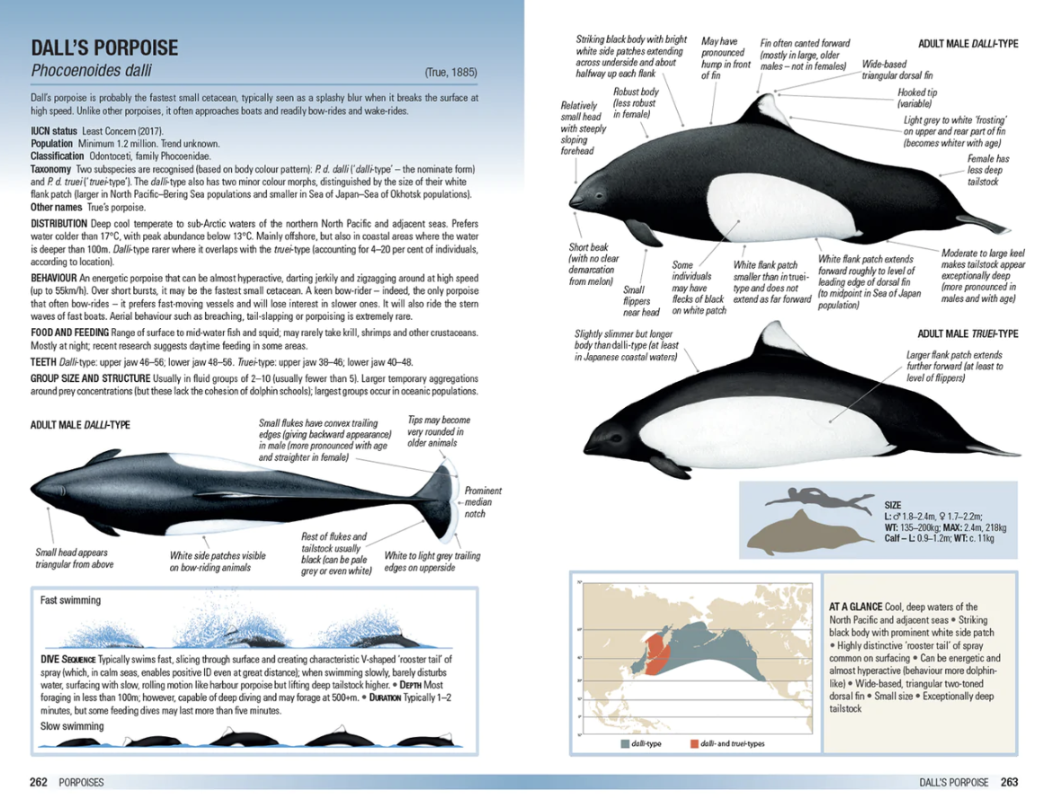 Field Guide to Whales, Dolphins and Porpoises